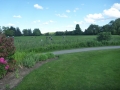 fairway